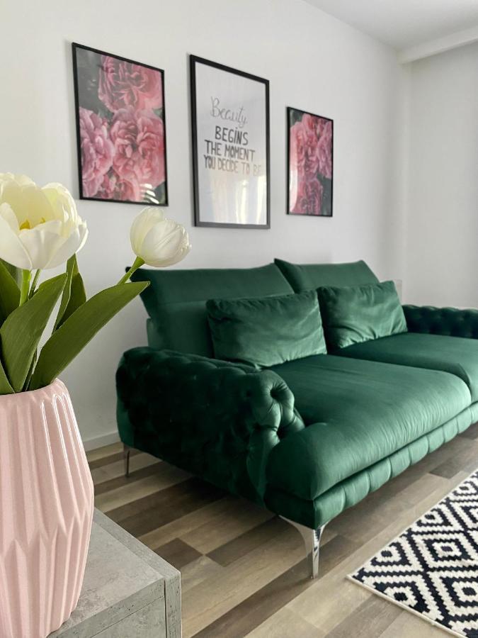 Velvet Studio Târgu-Mureş Exteriör bild